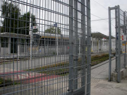 The platforms
