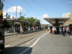 Three of the platforms. There's four tracks, with two tram platforms and a bus stop on each