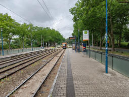 Looking along the westbound platform