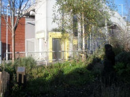 Mr Hooty the owl by the entrance for trams to Manchester