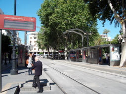 The platforms